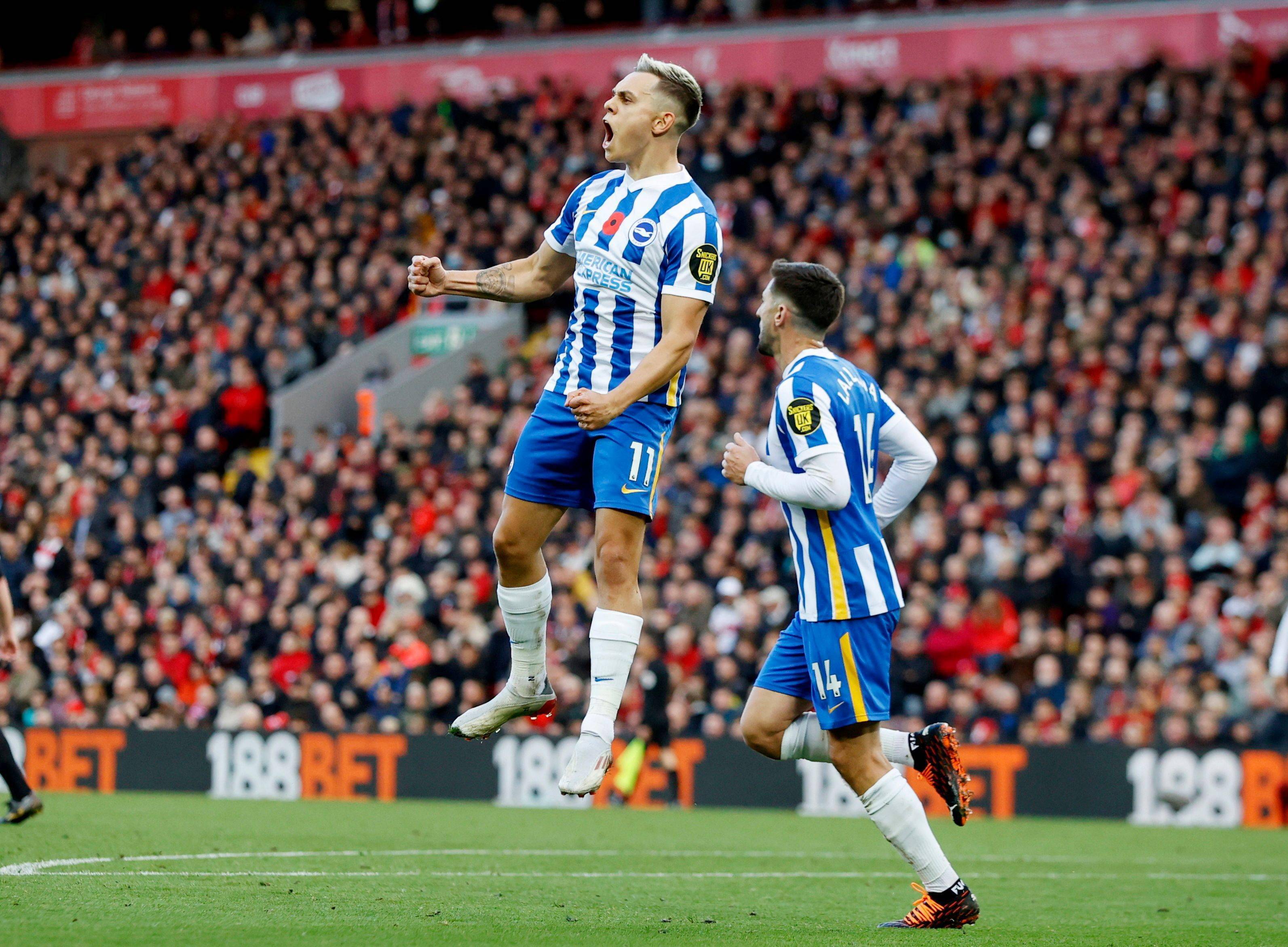 的完美利用 的完美利用