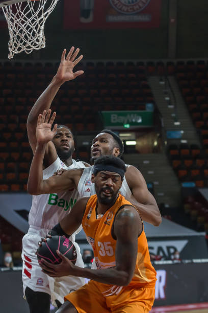 龙蟒组合 龙蟒组合